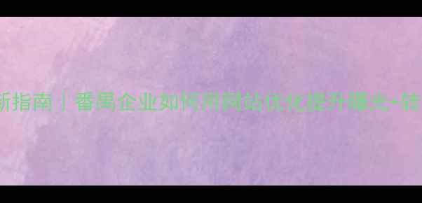 图片 最新指南｜番禺企业如何用网站优化提升曝光+转化2