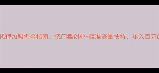 图片 最新政策网站优化代理加盟掘金指南：低门槛创业+精准流量扶持，年入百万的互联网财富密码1