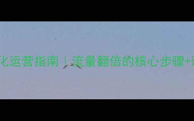 图片 最新网站优化运营指南｜流量翻倍的核心步骤+避坑干货✨1