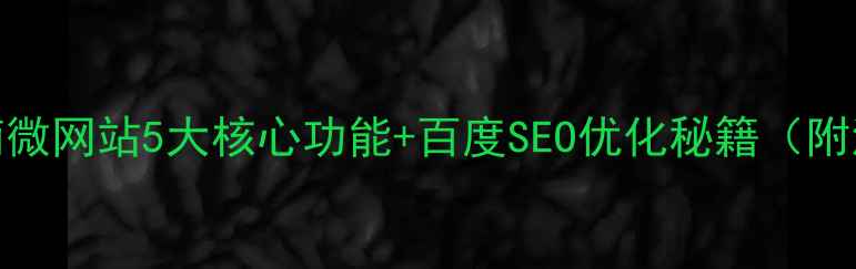 图片 最新零基础指南微网站5大核心功能+百度SEO优化秘籍（附流量转化案例）