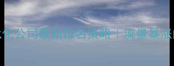 图片 朔州青岛网站优化公司最新排名策略｜流量暴涨的5大核心方法2