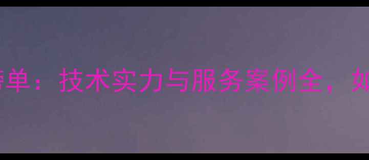 图片 权威网站优化公司榜单：技术实力与服务案例全，如何避坑选对服务商2