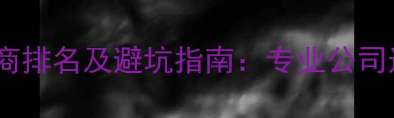 图片 杭州网站优化服务商排名及避坑指南：专业公司选择与实战优化全2