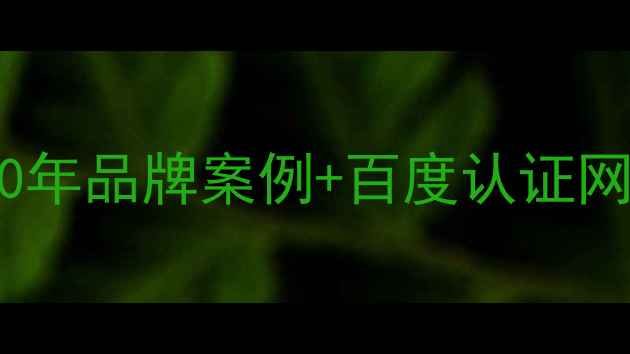 图片 杭州网站建设公司排名前十10年品牌案例+百度认证网站开发+SEO优化一站式服务1