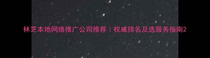 图片 林芝本地网络推广公司推荐｜权威排名及选服务指南2