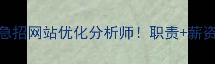 图片 标题优化湛江高薪急招网站优化分析师！职责+薪资+晋升路径全公开1