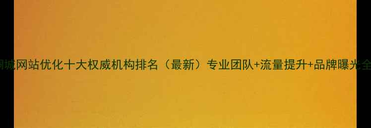 图片 桐城网站优化十大权威机构排名（最新）专业团队+流量提升+品牌曝光全2