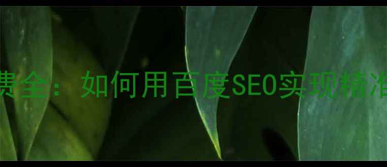 图片 桥头网站优化收费全：如何用百度SEO实现精准获客与流量转化