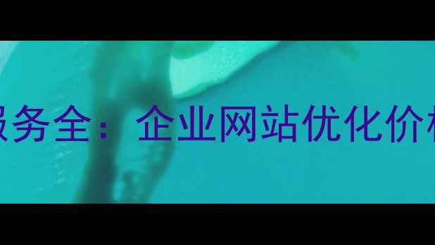 图片 梅州SEO优化服务全：企业网站优化价格与实战指南1