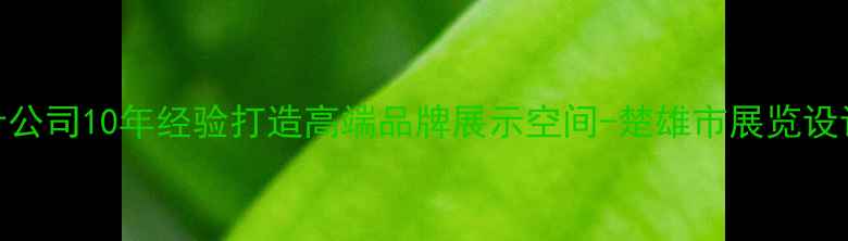 图片 楚雄专业展览设计公司10年经验打造高端品牌展示空间-楚雄市展览设计案例与定制服务