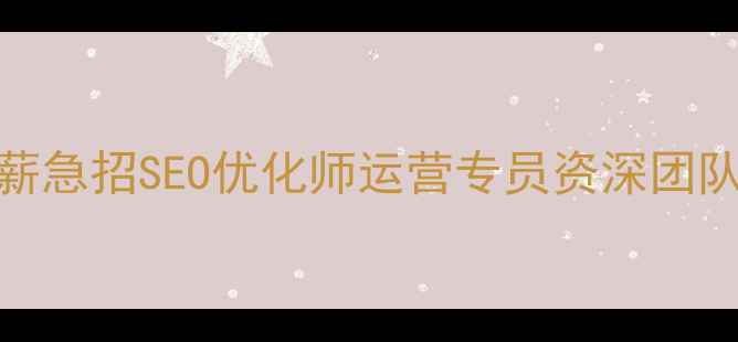 图片 樊城网站优化公司高薪急招SEO优化师运营专员资深团队助力企业数字化转型