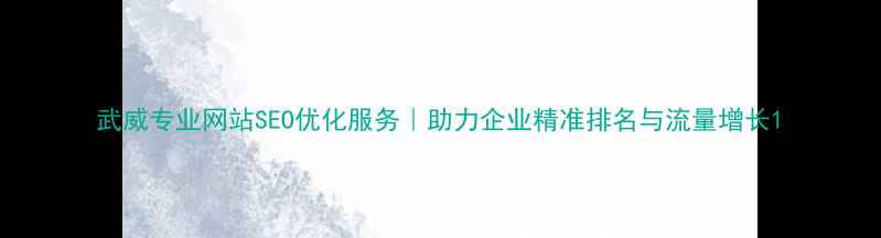 图片 武威专业网站SEO优化服务｜助力企业精准排名与流量增长1