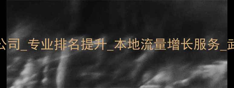 图片 武昌SEO网站优化公司_专业排名提升_本地流量增长服务_武汉网站优化专家2