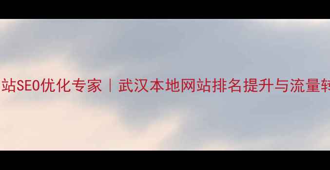 图片 武汉企业网站SEO优化专家｜武汉本地网站排名提升与流量转化全攻略1