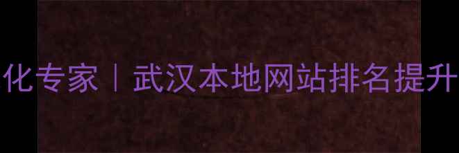 图片 武汉企业网站SEO优化专家｜武汉本地网站排名提升与流量转化全攻略2