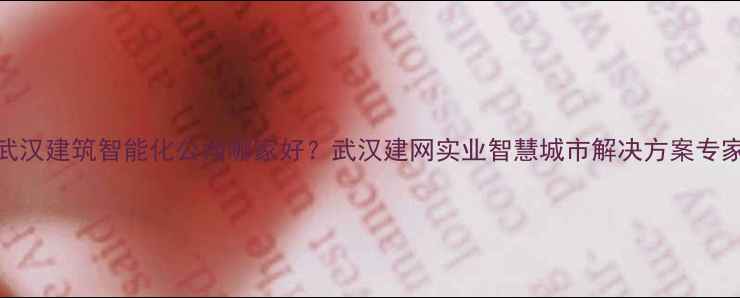 图片 武汉建筑智能化公司哪家好？武汉建网实业智慧城市解决方案专家