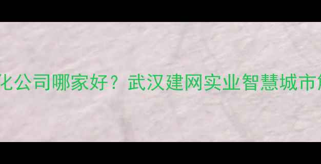 图片 武汉建筑智能化公司哪家好？武汉建网实业智慧城市解决方案专家1