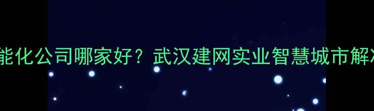 图片 武汉建筑智能化公司哪家好？武汉建网实业智慧城市解决方案专家2