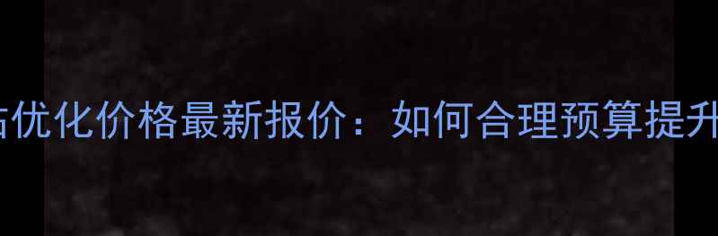 图片 武汉网站优化价格最新报价：如何合理预算提升排名？2