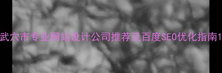 图片 武穴市专业网站设计公司推荐及百度SEO优化指南1