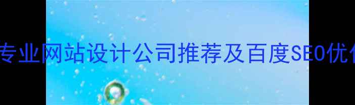图片 武穴市专业网站设计公司推荐及百度SEO优化指南2