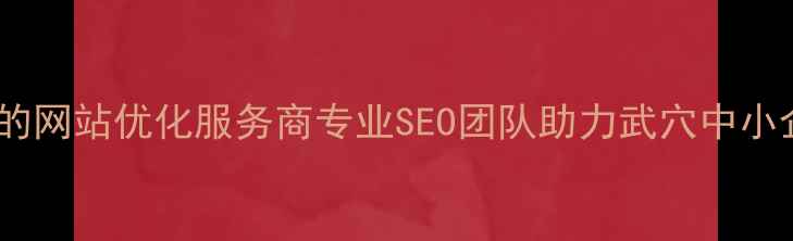 图片 武穴本地企业首选的网站优化服务商专业SEO团队助力武穴中小企业快速提升排名2
