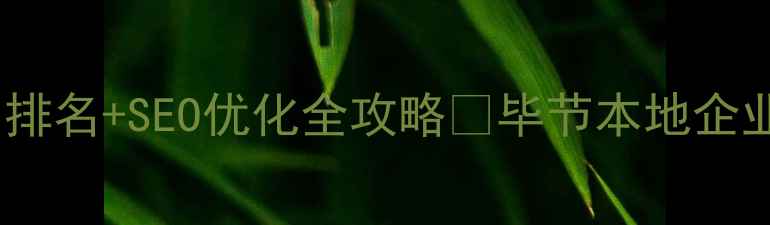 图片 毕节网站设计公司排名+SEO优化全攻略🔥毕节本地企业建站避坑指南🔥1