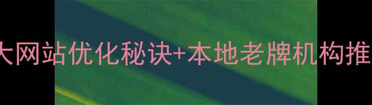 图片 汝阳本地企业必看！5大网站优化秘诀+本地老牌机构推荐（附免费诊断通道）