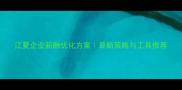 图片 江夏企业薪酬优化方案｜最新策略与工具推荐
