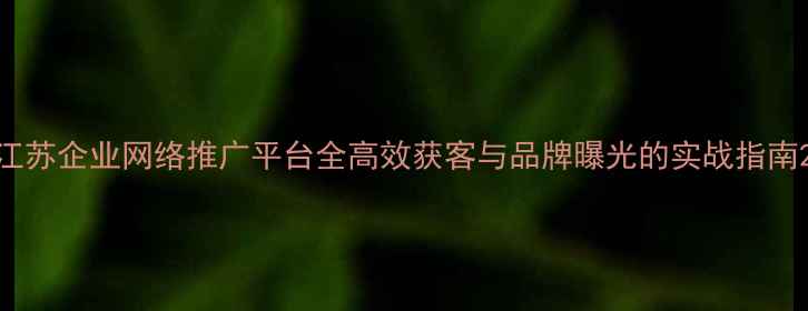图片 江苏企业网络推广平台全高效获客与品牌曝光的实战指南2