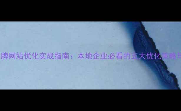 图片 沈阳品牌网站优化实战指南：本地企业必看的五大优化策略与案例2