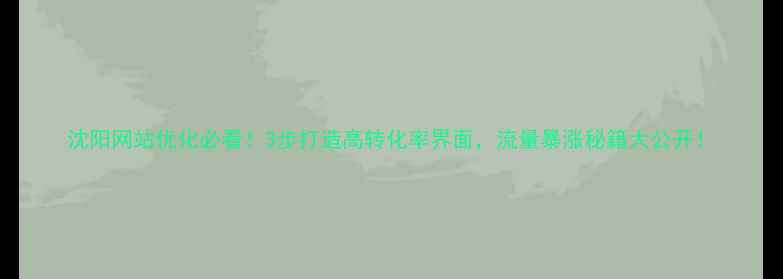 图片 沈阳网站优化必看！3步打造高转化率界面，流量暴涨秘籍大公开！