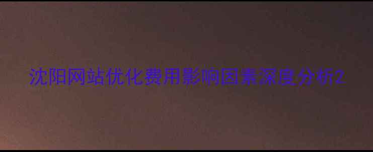 图片 沈阳网站优化费用影响因素深度分析2