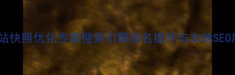 图片 沈阳网站快照优化专家搜索引擎排名提升与本地SEO服务全2