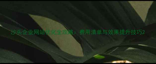 图片 沙头企业网站优化全攻略：费用清单与效果提升技巧2