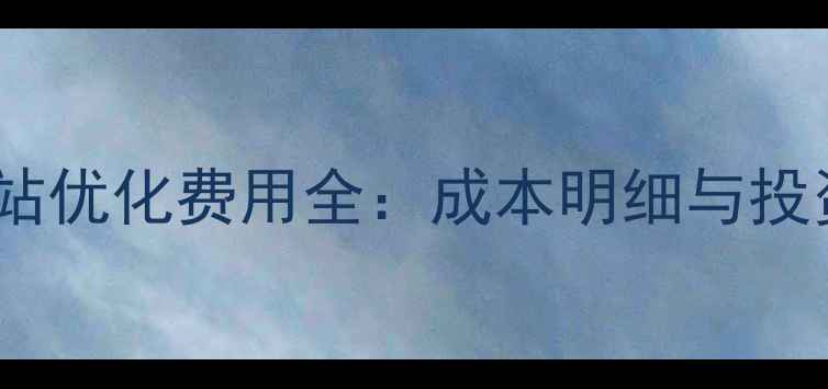 图片 沧州企业网站优化费用全：成本明细与投资回报指南1