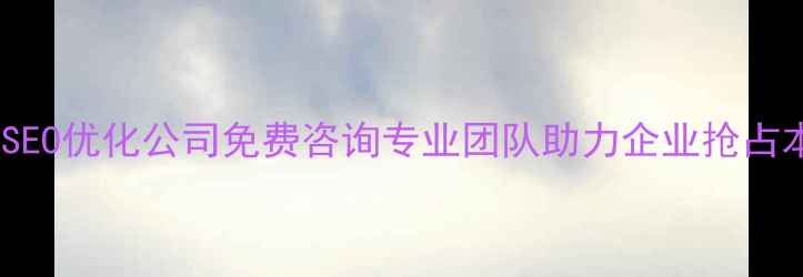 图片 沧州百度SEO优化公司免费咨询专业团队助力企业抢占本地流量2