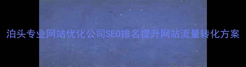 图片 泊头专业网站优化公司SEO排名提升网站流量转化方案