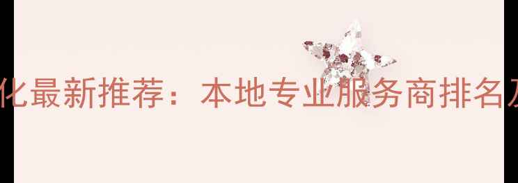 图片 泰州网站优化最新推荐：本地专业服务商排名及避坑指南2