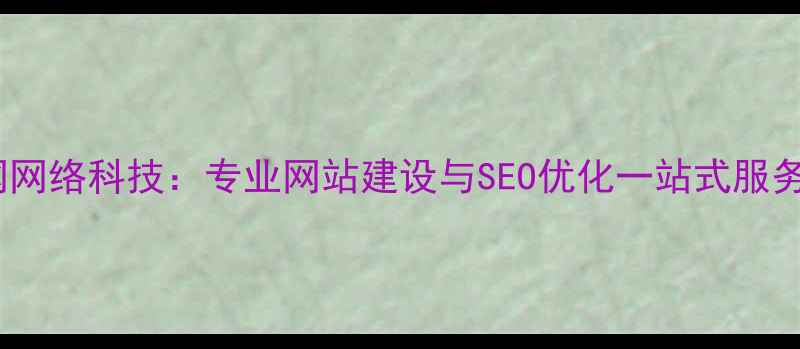 图片 泰网网络科技：专业网站建设与SEO优化一站式服务商2