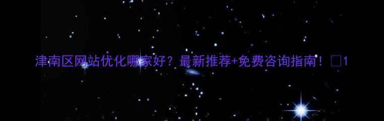 图片 津南区网站优化哪家好？最新推荐+免费咨询指南！🔥1