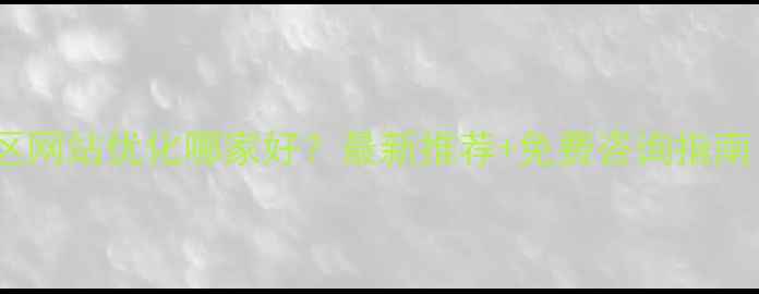 图片 津南区网站优化哪家好？最新推荐+免费咨询指南！🔥2