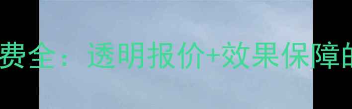 图片 济南网站优化收费全：透明报价+效果保障的五大核心服务2