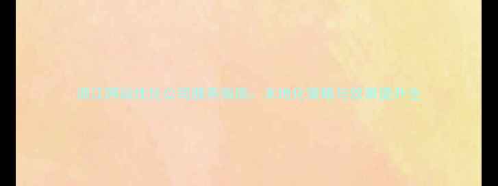 图片 浙江网站优化公司服务指南：本地化策略与效果提升全