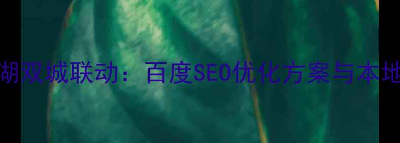 图片 海南儋州+安徽芜湖双城联动：百度SEO优化方案与本地排名提升全攻略1