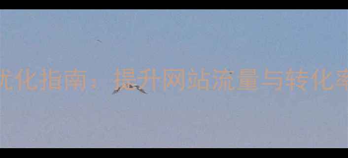 图片 海南本地SEO优化指南：提升网站流量与转化率的实战策略1