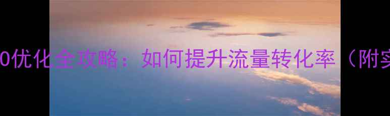 图片 海淘网站SEO优化全攻略：如何提升流量转化率（附实操案例）2