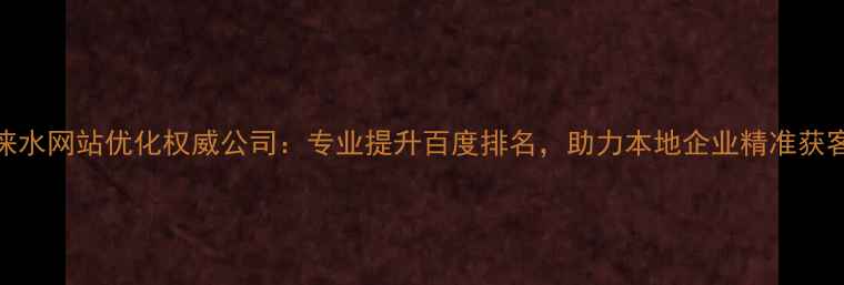 图片 涞水网站优化权威公司：专业提升百度排名，助力本地企业精准获客
