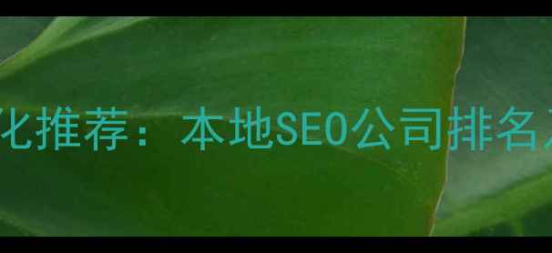 图片 深圳网站优化推荐：本地SEO公司排名及避坑指南2