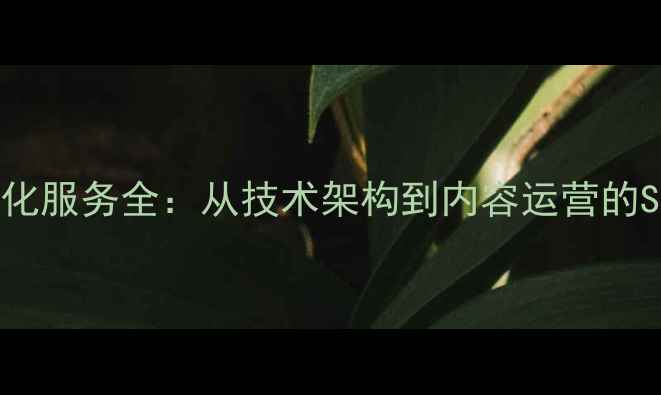 图片 深圳网站优化服务全：从技术架构到内容运营的SEO实战指南